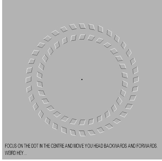 illusion_dotmoving.jpg