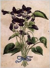 illusion_flowers.jpg