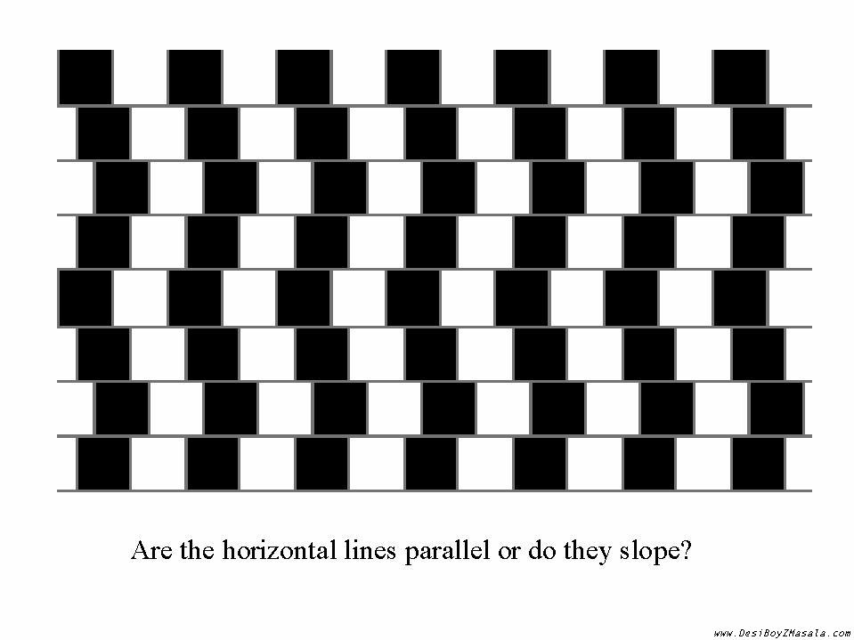 illusion_lines.jpg